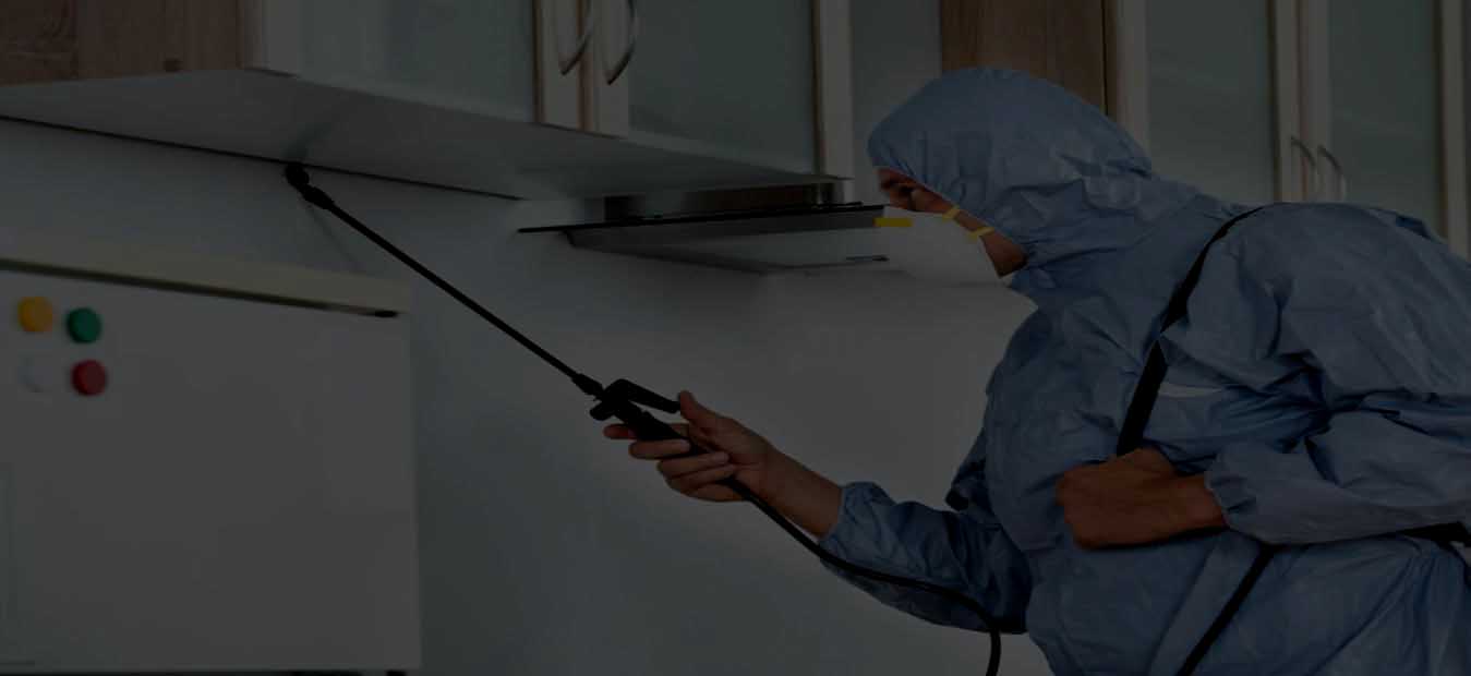 Uber Pest Control App On Demand Pest Control App