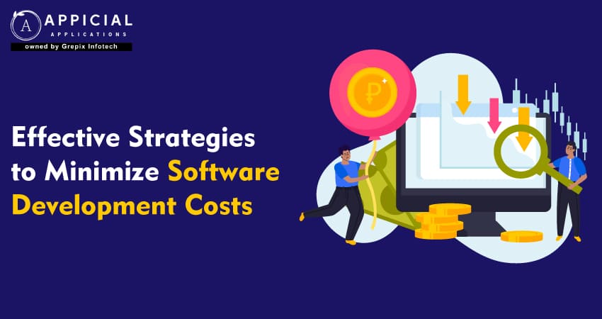 Effective Strategies to Minimize Software Development Costs