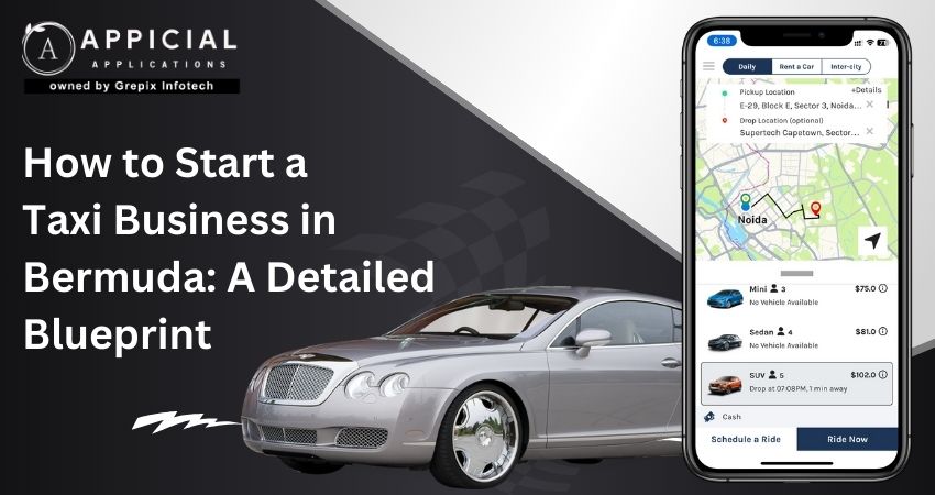 How to Start a Taxi Business in Bermuda: A Detailed Blueprint