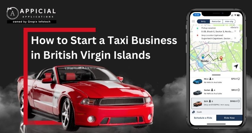 How to Start a Taxi Business in British Virgin Islands
