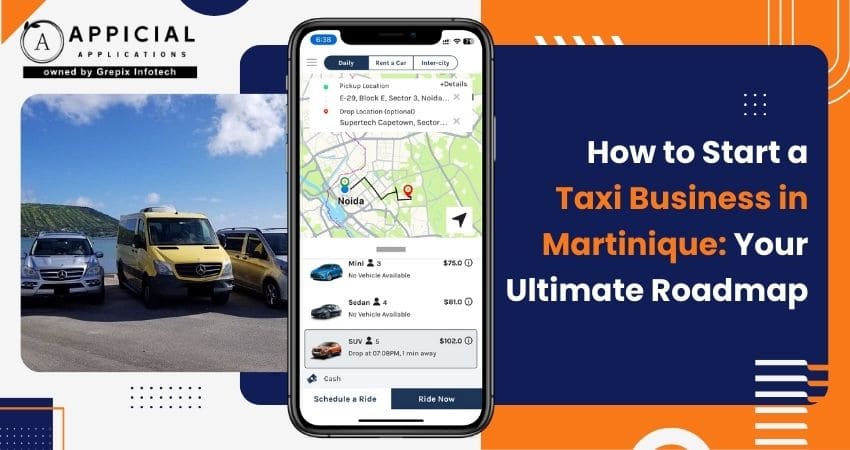 How to Start a Taxi Business in Martinique: Your Ultimate Roadmap