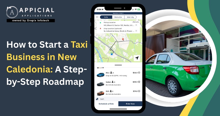 How to Start a Taxi Business in New Caledonia: A Step-by-Step Roadmap