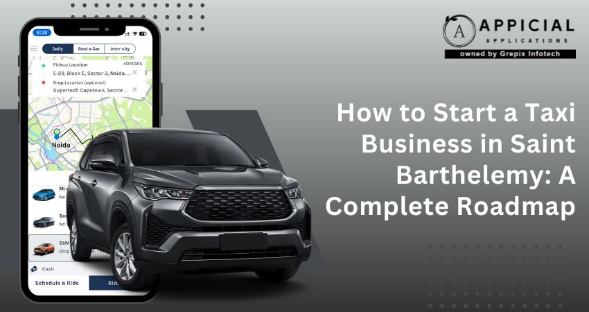 How to Start a Taxi Business in Saint Barthelemy: A Complete Roadmap