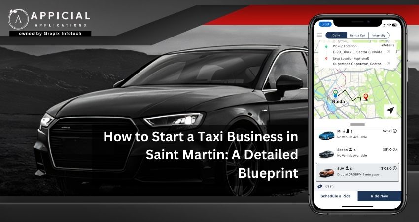 How to Start a Taxi Business in Saint Martin: A Detailed Blueprint