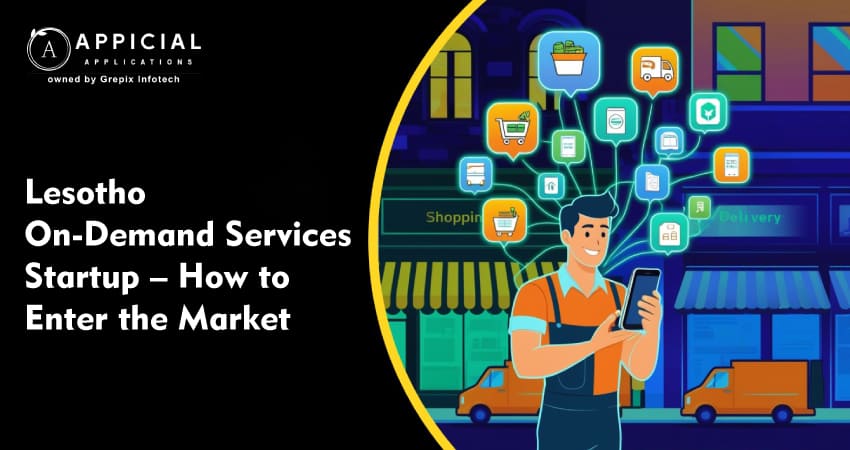 Lesotho On-Demand Services Startup – How to Enter the Market  