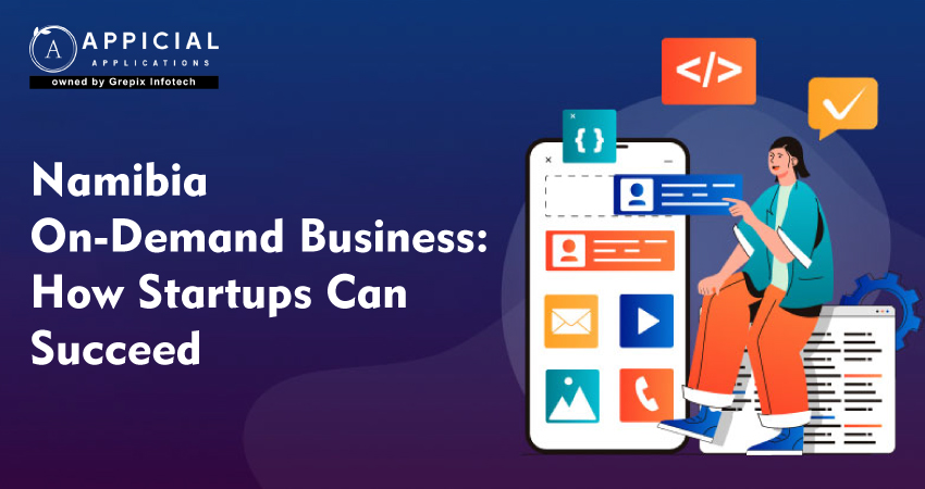 Namibia On-Demand Business: How Startups Can Succeed  